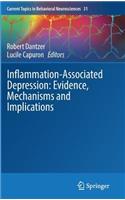 Inflammation-Associated Depression: Evidence, Mechanisms and Implications