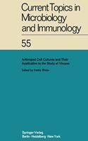 Arthropod Cell Cultures and Their Application to the Study of Viruses