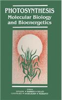 Photosynthesis : Molecular Biology and Bioener