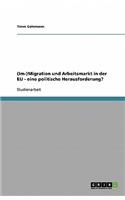 (Im-)Migration und Arbeitsmarkt in der EU - eine politische Herausforderung?: (German)