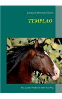Templao: Eine gequälte Pferdeseele findet ihren Weg(German)