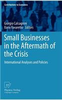 Small Businesses in the Aftermath of the Crisis