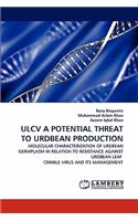 Ulcv a Potential Threat to Urdbean Production