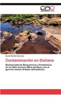 Contaminación en Doñana