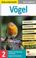 Vogel - Merkmale, Lebensraum, Systematik: Ubersichtliche Kopiervorlagen fur die Sekundarstufe