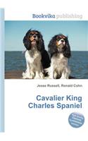 Cavalier King Charles Spaniel
