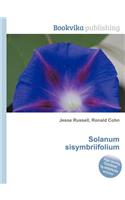 Solanum Sisymbriifolium: (English)