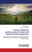 Factors affecting performance of small and medium-sized enterprises