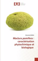 Maclura pomifera