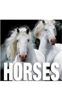 Horses