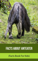 Facts About Anteater (Facts Book For Kids)