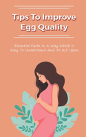 Tips To Improve Egg Quality