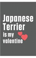 Japanese Terrier is my valentine: For Jindo Dog Fans