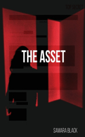 Asset: Asset Series 1