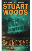 Palindrome: A Mystery