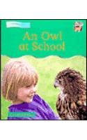 An Owl at School: (Cambridge Reading)