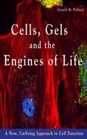 Cells, Gels and the Engines of Life: A New Unifying Approach to Cell Function