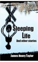 Sleeping Life and Other Stories