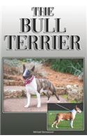 The Bull Terrier