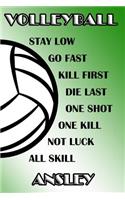 Volleyball Stay Low Go Fast Kill First Die Last One Shot One Kill Not Luck All Skill Ansley: College Ruled Composition Book Green and White School Colors