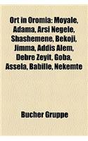 Ort in Oromia: Moyale, Adama, Arsi Negele, Shashemene, Bekoji, Jimma, Addis Alem, Debre Zeyit, Goba, Assela, Babille, Nekemte(German)