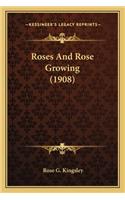 Roses and Rose Growing (1908)