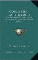 Coleoptera, Lamellicornia