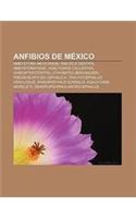 Anfibios de Mexico: Ambystoma Mexicanum, Smilisca Dentata, Ambystomatidae, Agalychnis Callidryas, Chiropterotriton, Lithobates Berlandieri