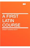 A First Latin Course