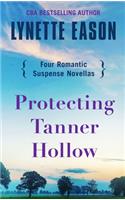 Protecting Tanner Hollow