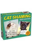 Cat Shaming 2019 Day-to-Day Calendar