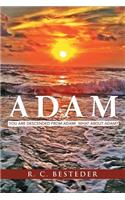 Adam: You Are Descended from Adam! What about Adam?
