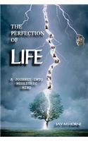 The Perfection of Life: A Journey Into Neolithic Mind