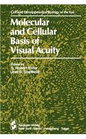 Molecular and Cellular Basis of Visual Acuity