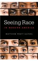 Seeing Race in Modern America
