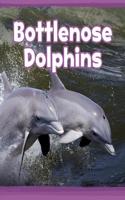 BOTTLENOSE DOLPHINS