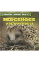 Hedgehogs Are Not Hogs!: (Confusing Creature Names)