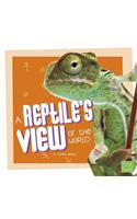 A Reptile's View of the World