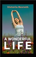 Wonderful Life