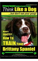 Brittany Spaniel, Brittany Spaniel Training - Think Like a Dog But Don't Eat Your Poop! - Brittany Spaniel Breed Expert Training-