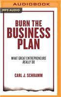 Burn the Business Plan