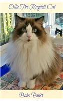 Ollie The Ragdoll Cat: A Book for Cat Lovers of All Ages