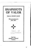 Snapshots of valor
