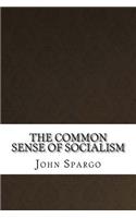 The Common Sense of Socialism