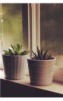 Succulents on a Windowsill Journal