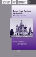 Large Scale Projects in Ehealth