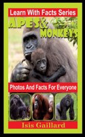 Apes and Monkeys Photos and Facts for Everyone
