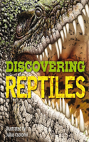 Discovering Reptiles