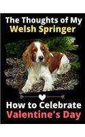 The Thoughts of My Welsh Springer: How to Celebrate Valentine's Day