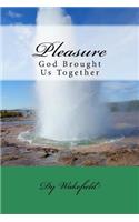 Pleasure: God Brought Us Together(1 Pleasure a Christian Erotica)